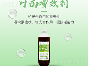 �~����Ч��-�~����-���S����