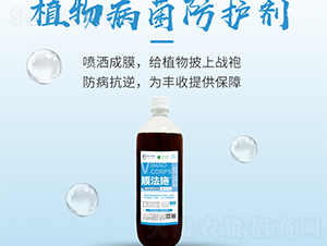 ֲ�ﲡ�����o(h��)��-Ĥ��ʩ-���S����