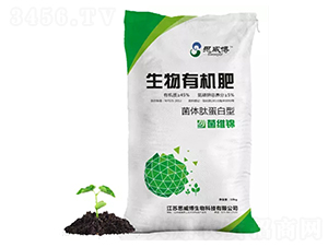 �����ЙC��-˼����