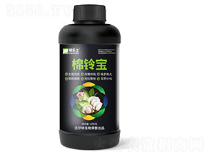 ��⏌�-�ژ���-�֠���