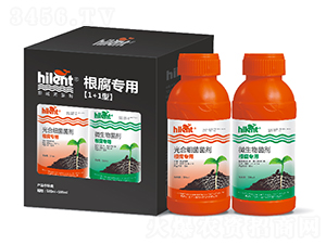 �������á�1+1�͡�-���{��