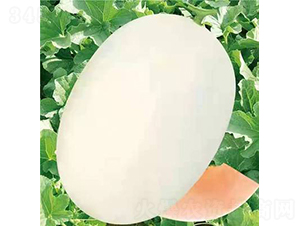 ��ʥ�̴���|����-��ϷN��-��ʥ��