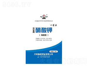 ����⛣������ͣ�-�켹