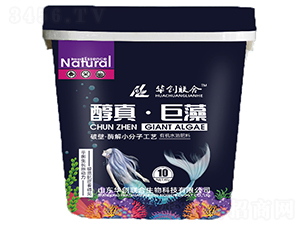 ���桤����-�A��(chu��ng)(li��n)��