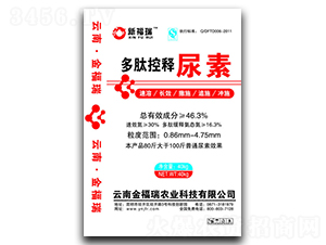 ���Ŀ������-�¸���-����