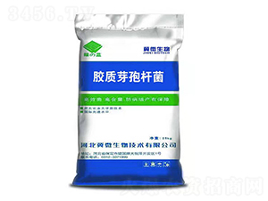 �z�|(zh��)ѿ�ߗU��-�G�{(l��n)-��΢����