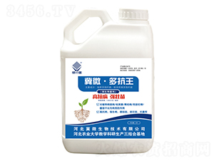 �࿹��΢�������-�G�{-��΢����