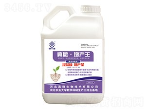 ���a(ch��n)��΢�������-�G�{(l��n)-��΢����