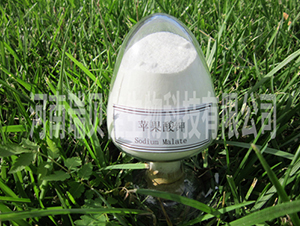 �O�����-��ؐ������