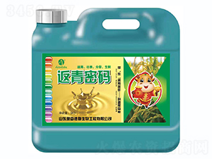 �����ܴa-�W�׵�˹