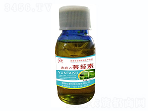 �������|̦��-��(bi��o)������