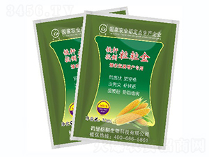 �F�U����������-��(bi��o)������