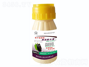 ���Ӻ��������-��(bi��o)������