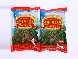 �o�ݼt1̖-�����N��-������