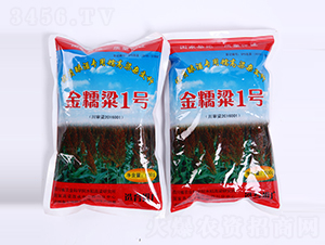 ��Ŵ��1̖-�����N��-������