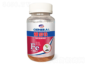 �Ǵ��F-��ϲ