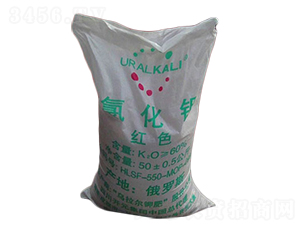 ���w���t⛣��Ȼ�⛣�-�R���r�Y