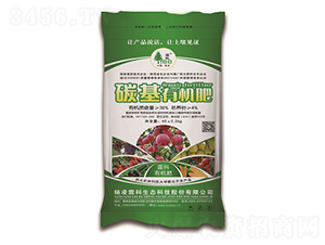 ̼���ЙC(j��)��-�����ؿ�