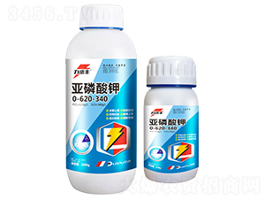 �������-��ʢ�S-�����r(n��ng)�I(y��)