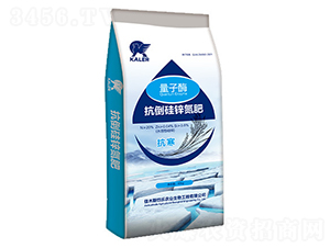 �������\����-����ø-���r(n��ng)�I(y��)