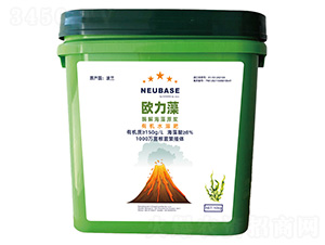 ø�⺣��ԭ�{-�W����-����}