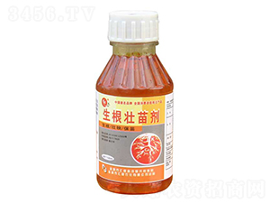 �������焩-�R���r(n��ng)��