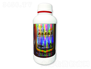 ���1̖(h��o)-�d��������-�d���r(n��ng)�I(y��)