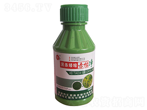 �ڗl���s��݃�-�R���r(n��ng)��