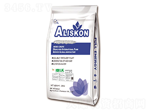 ��S�I�B(y��ng)���B(t��i)��20-20-20+TE-����-���{(l��n)