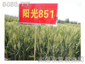 С���N��-ꖹ�851