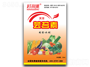 �|̦��-������-��ֲ�_(d��)