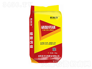 �����}�V-��ِ��-ʥ�S