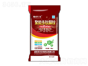 ���ܶ������@-ʥ�S