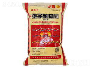 ����ֲ�ﵪ-����S-��˹��