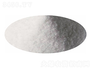 �Ȼ��-�P�����d