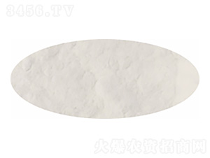 ����ķ�����-�P�����d