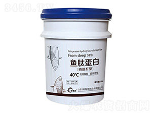 �~�ĵ���-�Z����