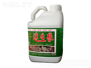 ������-��ɽ̩�S