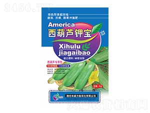 �����J��}��-����ʩ