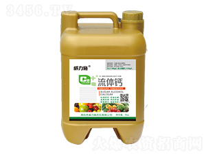 ���w�}-����ʩ