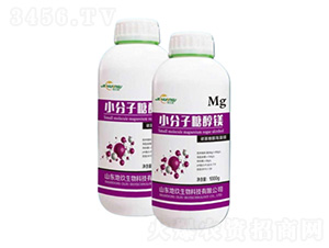 С�����Ǵ��V-�ؾ�����