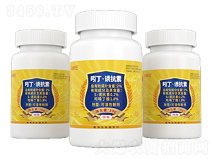 �Ŷ����T���ؿɝ��Էۄ�-�����-�����S