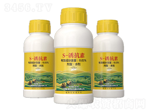 S-�T����-�����S