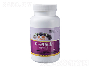 S-�T���ؿ�������-���Z-�����S