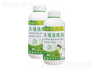 �����{�턩-�ؾ�����