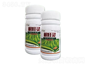 �����`-�ؾ�����