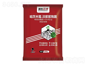 ����ľù��������ù��-���r(n��ng)�羀-���˸�