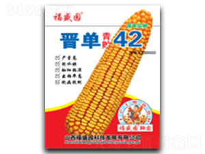 �x�����A42̖-���׷N��-��(qi��ng)ʢ�N�I(y��)