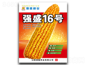 ��(qi��ng)ʢ16̖-���׷N��-��(qi��ng)ʢ�N�I(y��)