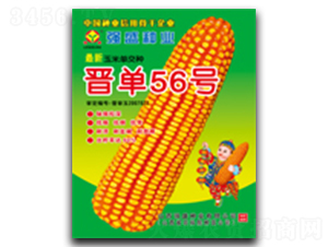 �x��56̖-���׷N��-��(qi��ng)ʢ�N�I(y��)